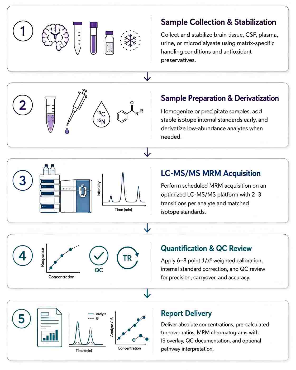Neurotransmitter Analysis Workflow — Five-Step Pipeline from Sample Collection to Quantitative LC-MS/MS Data