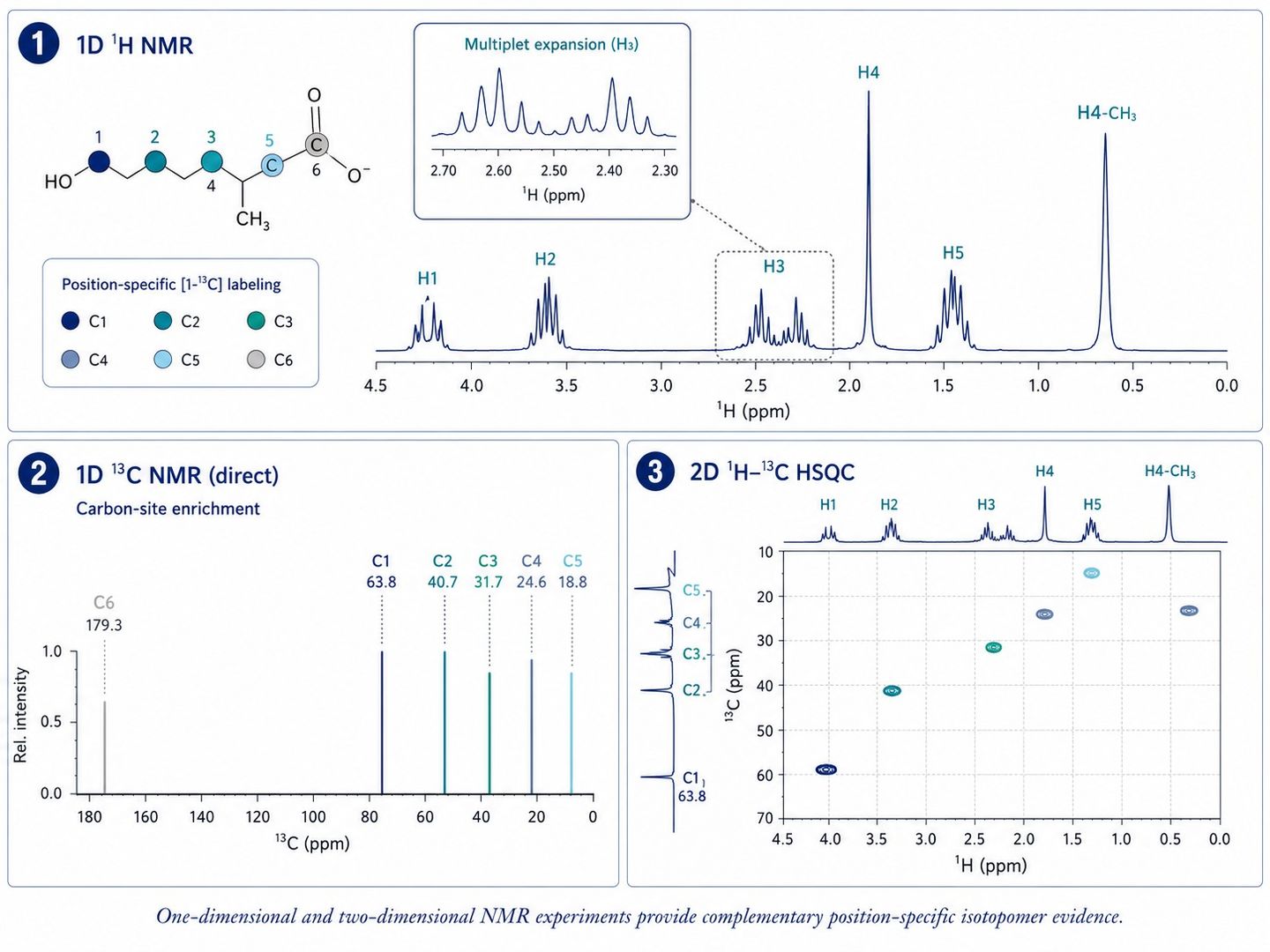 Position-specific 13C NMR and two-dimensional correlation readouts for isotopomer analysis