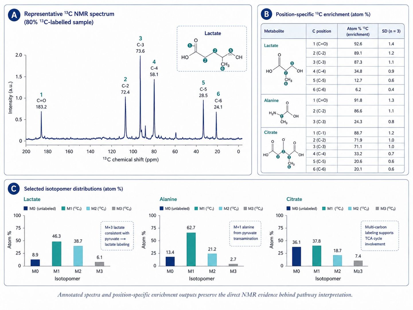 Annotated NMR spectra and position-specific carbon-13 enrichment outputs