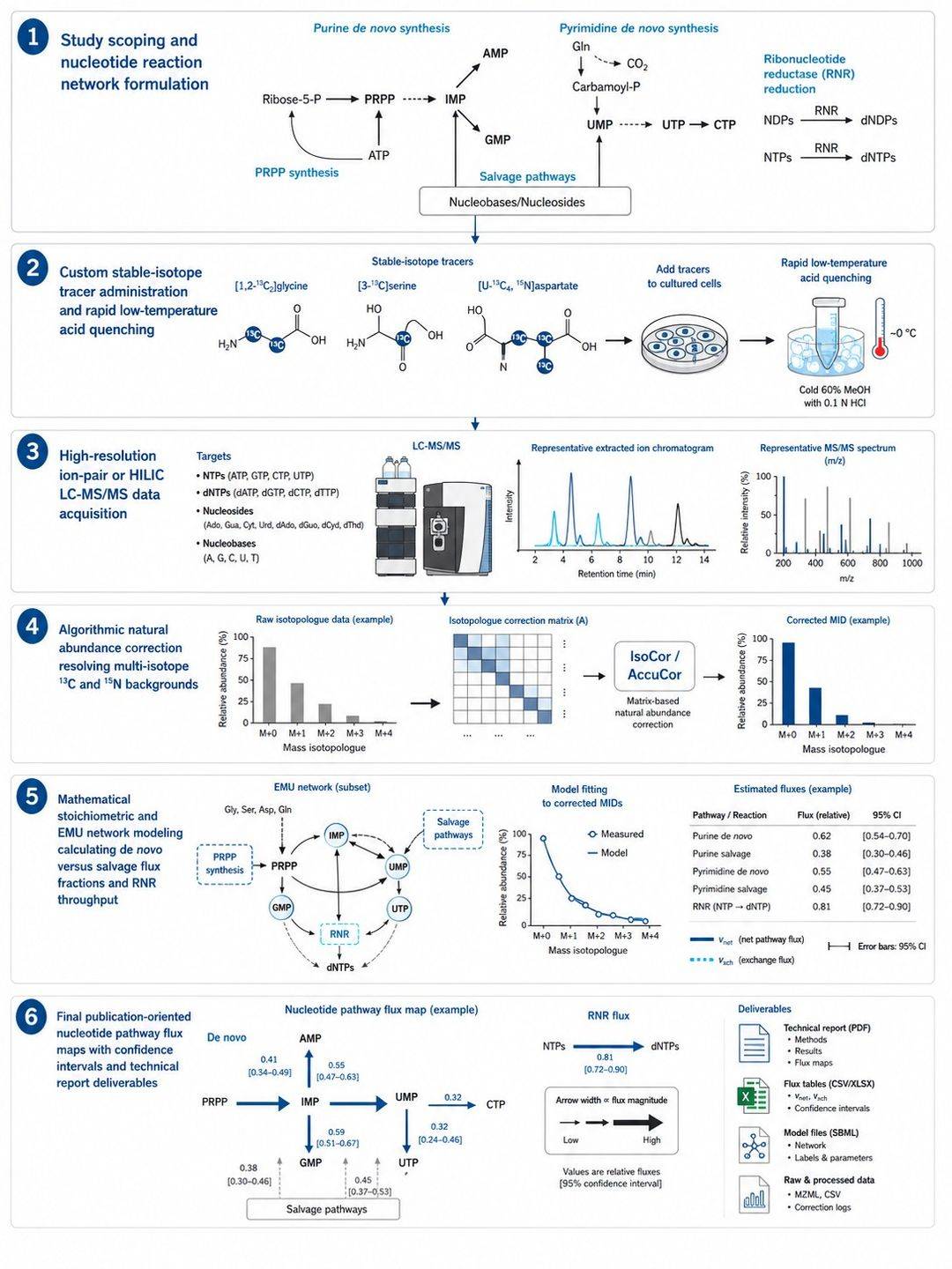 Six-step workflow for nucleotide metabolic flux analysis