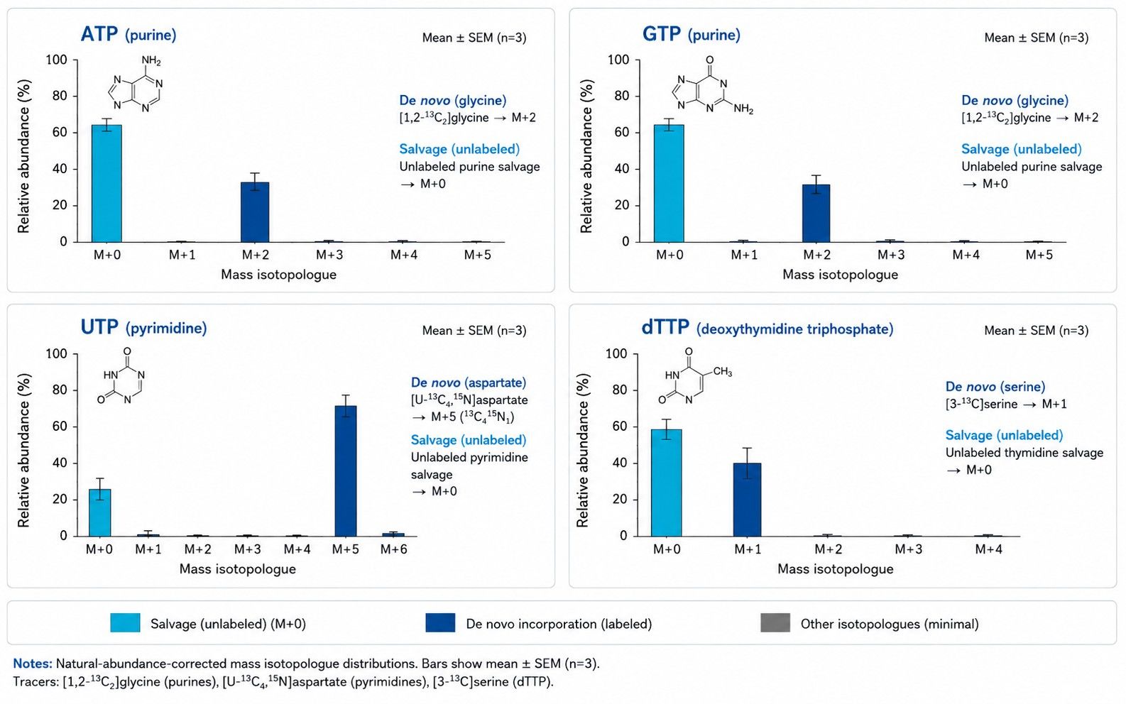 Nucleotide mass isotopologue distribution bar plot resolving purine and pyrimidine labeling