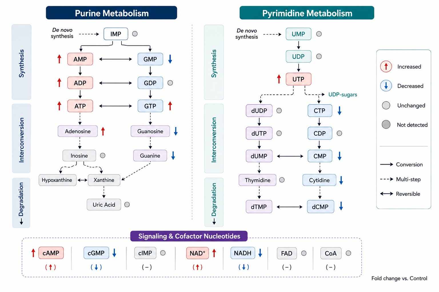 KEGG Purine and Pyrimidine Metabolism Pathway Map with Nucleotide Node Fold-Change Coloring