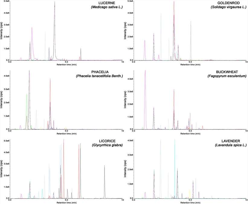 Representative chromatograms obtained for extracts of lucerne, goldenrod, phacelia, buckwheat, licorice, and lavender using the proposed SLE-SPE-UHPLC-MS/MS method