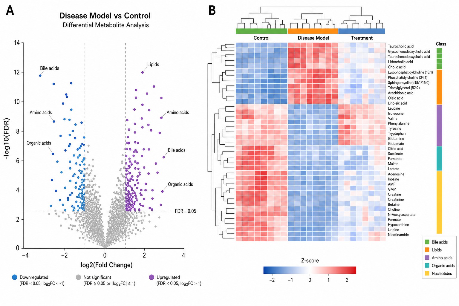 Animal Metabolomics Differential Analysis — Volcano Plot with FDR Correction and Hierarchical Clustering Heatmap of Differential Metabolites