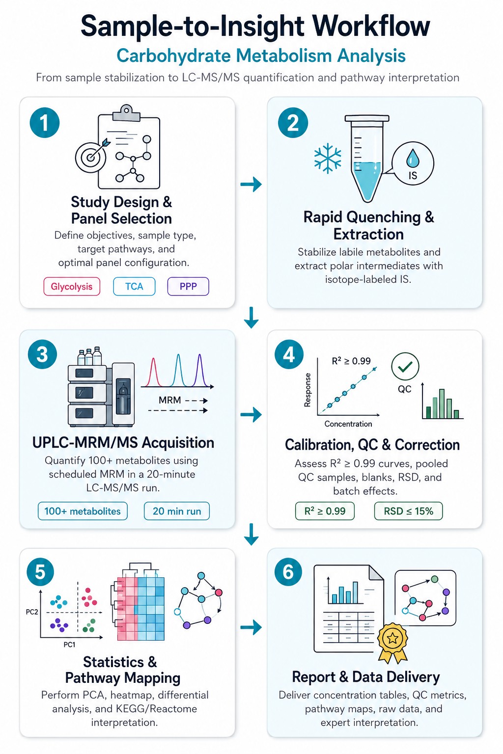 Carbohydrate Metabolism Analysis Workflow — From Sample Preparation to LC-MS/MS Quantification Report