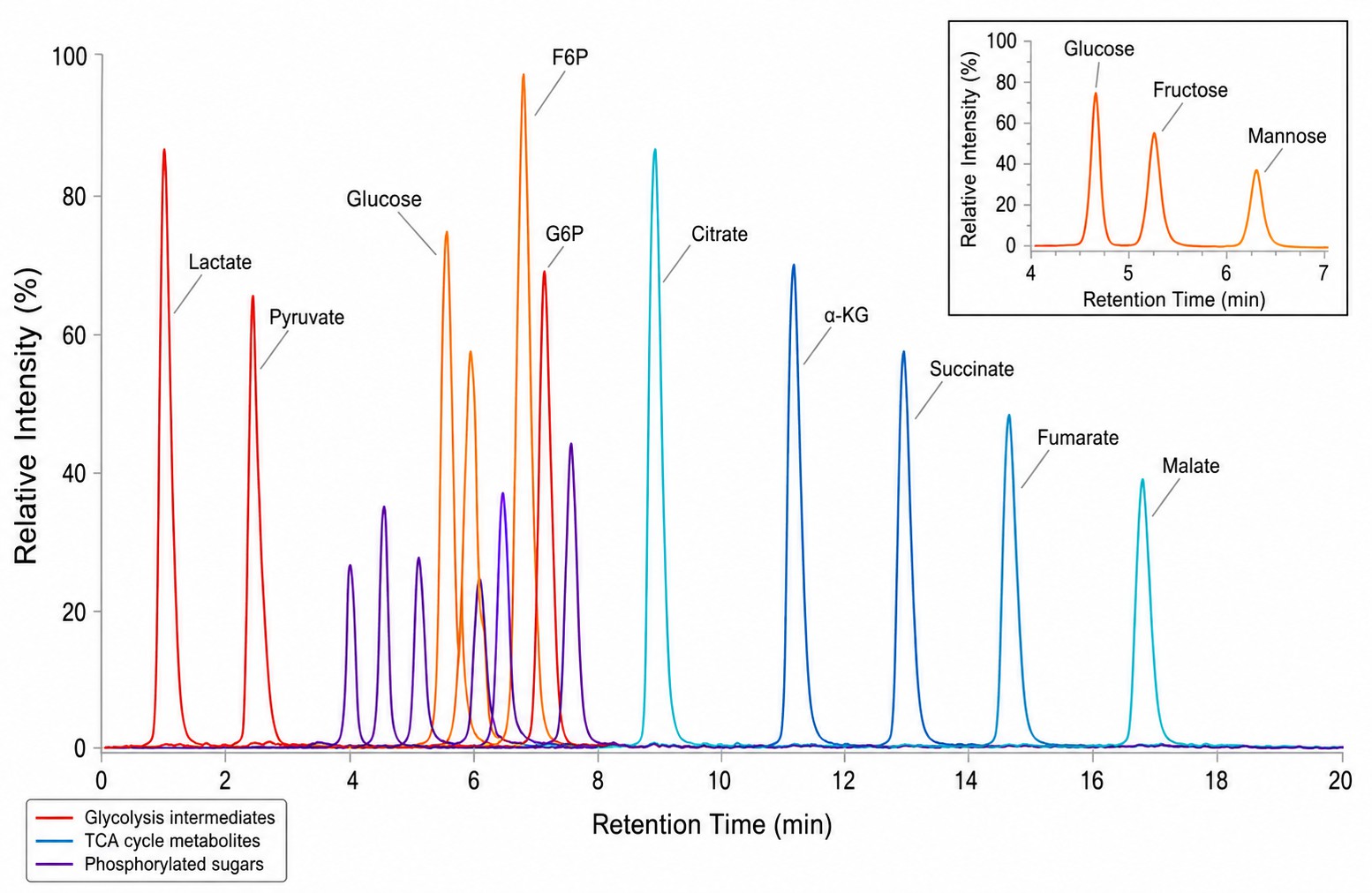 Glycolysis-TCA Pathway Metabolite Profiling — LC-MS/MS MRM Chromatogram Overlay