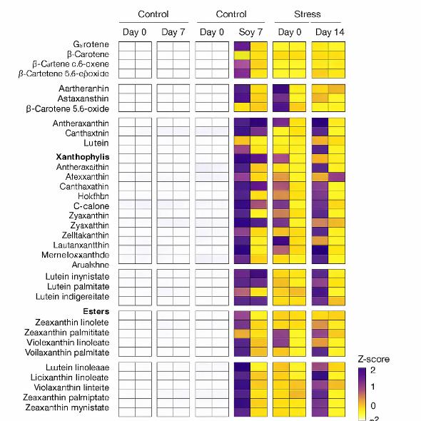 Heatmap of 66 carotenoids grouped by class across cultivars and treatments.