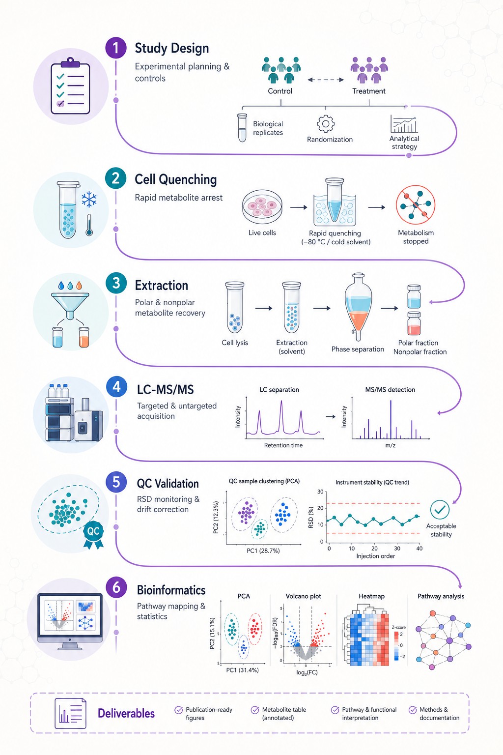 Cell Metabolomics Workflow — From Cell Culture and Quenching to LC-MS/MS Data Acquisition and Biological Interpretation