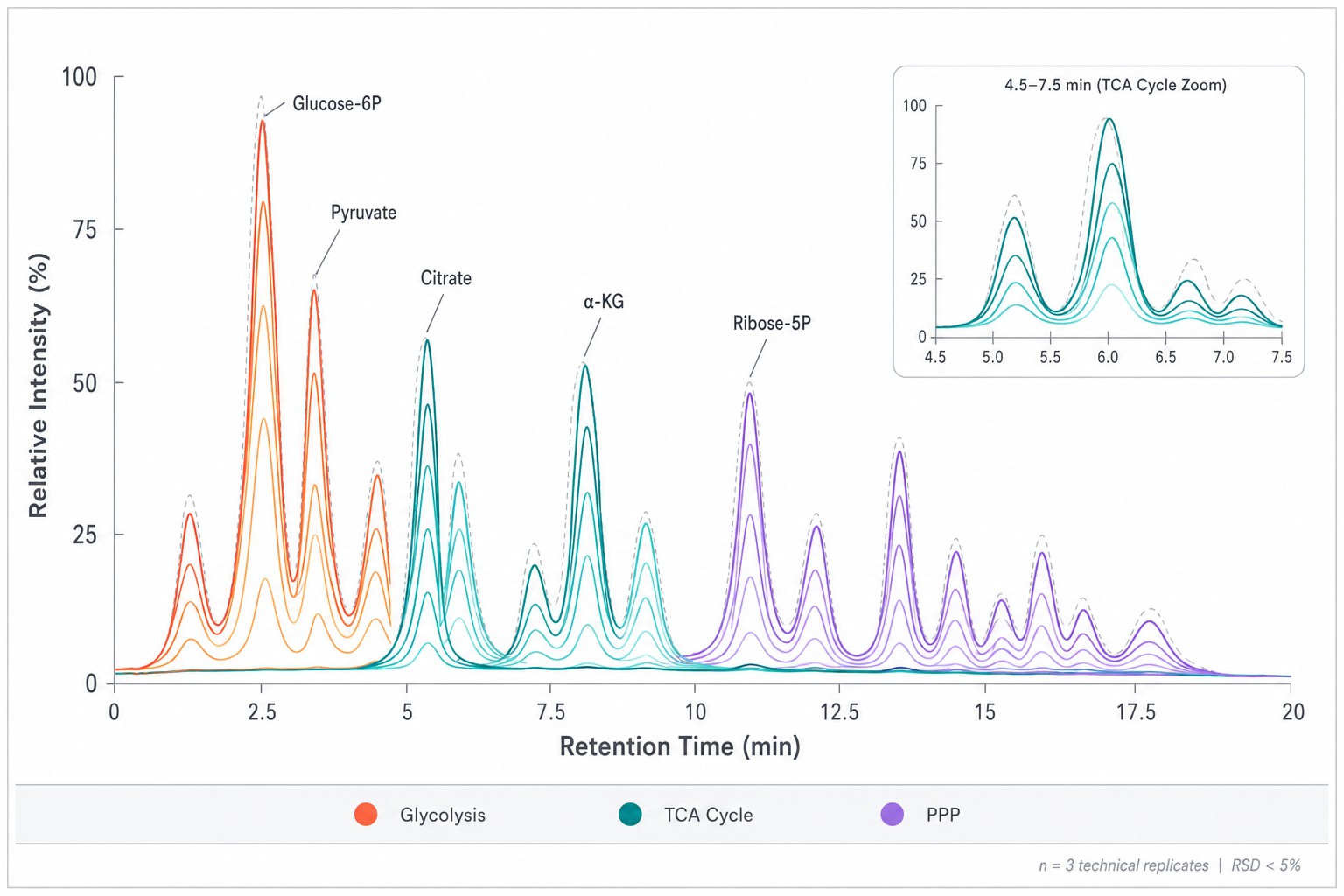 Cell Metabolomics — MRM Chromatogram Overlay of Central Carbon Metabolites in HeLa Cell Extract