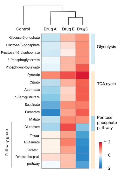 Heatmap of central carbon metabolites by condition, grouped into glycolysis, TCA cycle, and pentose phosphate pathway.