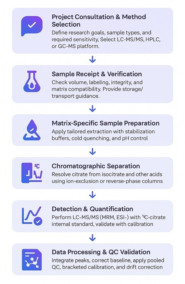 Citric Acid Assay Workflow