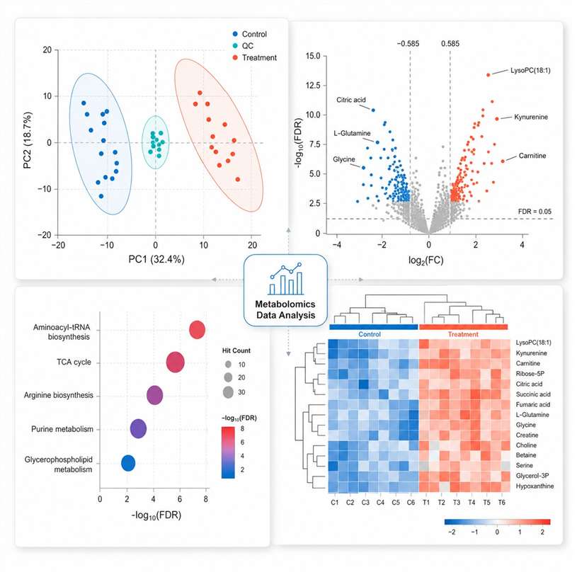 Metabolomics Data Analysis Deliverables — PCA Scores Plot Volcano Plot KEGG Pathway Enrichment and Hierarchical Clustering Heatmap Publication-Ready Figures Preview