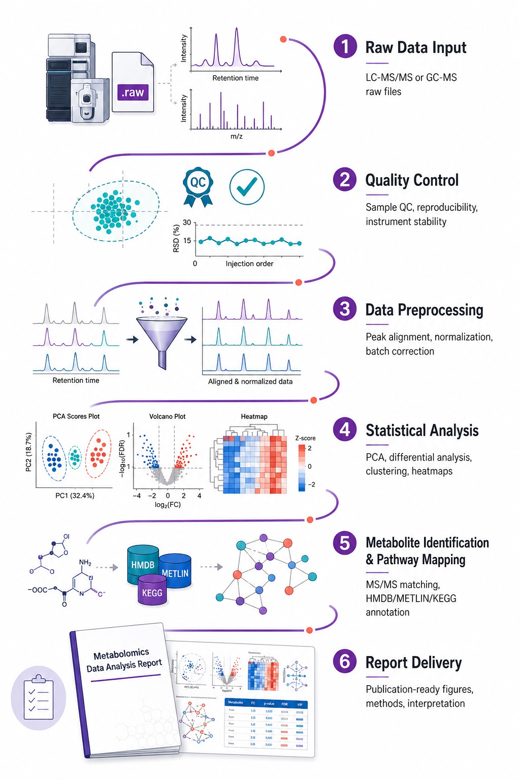 Metabolomics Data Analysis Workflow — Six-Step Bioinformatics Pipeline from Raw Data to Publication-Ready Report