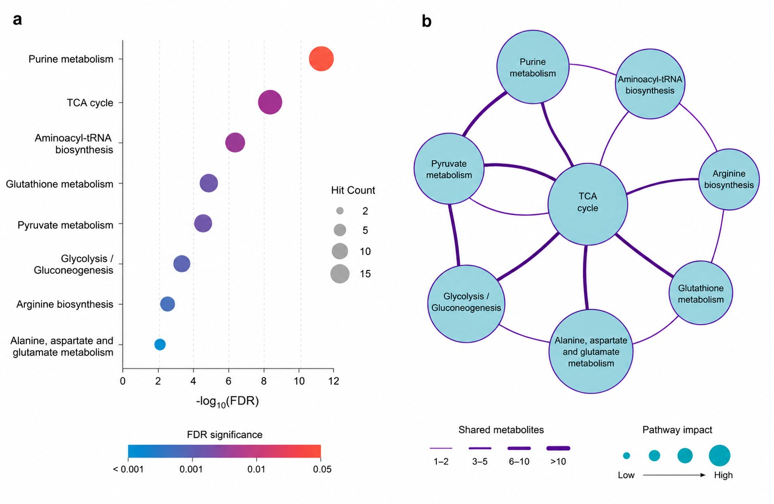 Metabolomics Data Analysis — KEGG Pathway Enrichment Bubble Chart and Shared-Metabolite Network Map for Biological Interpretation