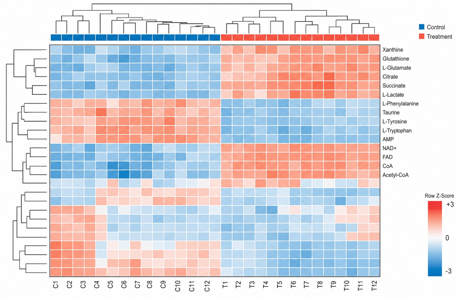Metabolomics Data Analysis — Hierarchical Clustering Heatmap with Dendrograms and Group Color Bars for Global Metabolomic Pattern Visualization