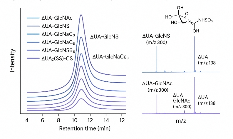LC–MS/MS EIC separation of heparan sulfate disaccharides with representative MS/MS spectra for structural confirmation