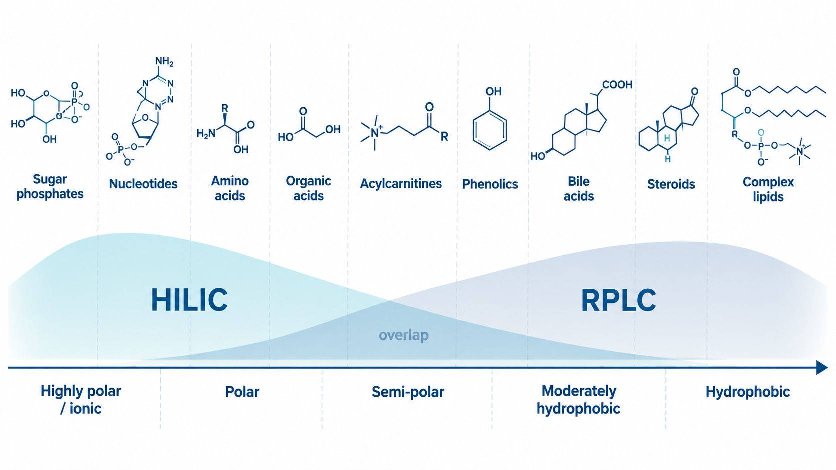 Chemical-space map showing the complementary retention domains of reversed-phase LC and HILIC across highly polar, ionic, semi-polar, and hydrophobic metabolites.