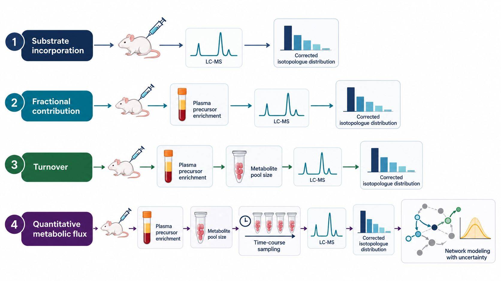 Decision matrix connecting the intended in vivo metabolic claim to tracer delivery, plasma sampling, tissue collection, and analytical outputs.