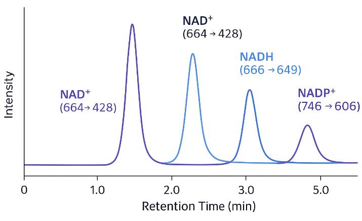 LC-MS/MS chromatogram of NAD species with distinct retention times.