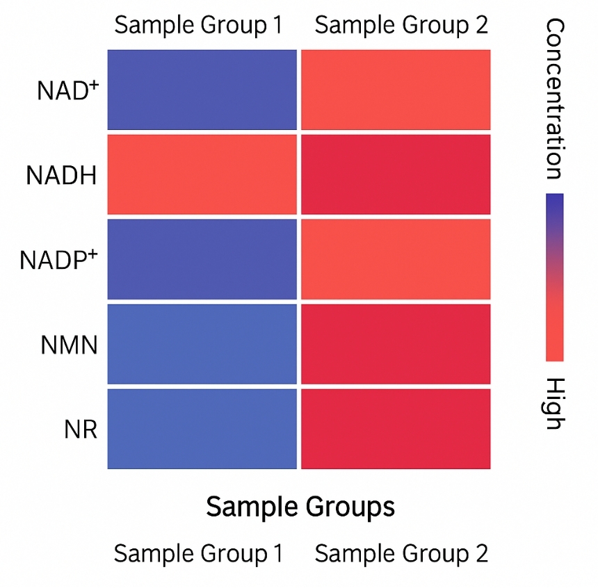 ：Heatmap showing relative abundances of NAD-related metabolites across experimental conditions.