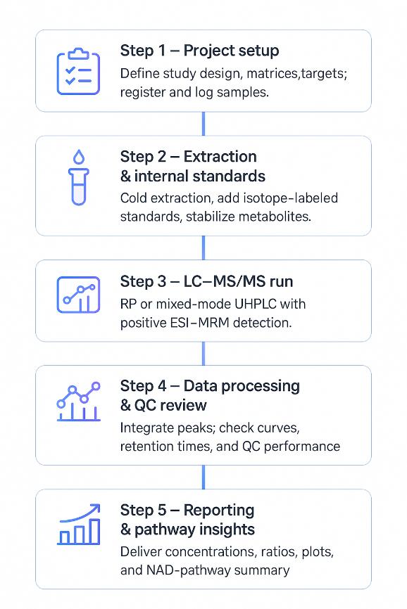 Nicotinate and Nicotinamide Analysis Service Workflow