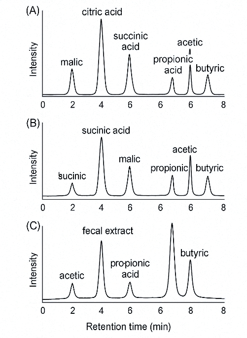 Three LC–MS/MS chromatograms of organic acids in standard, plasma and fecal extract with well-resolved peaks.