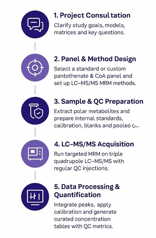 Pantothenate & CoA biosynthesis analysis 5-step workflow diagram.