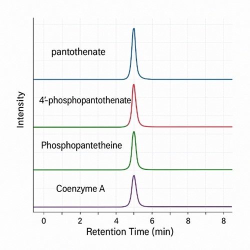 LC-MS/MS MRM chromatograms of pantothenate and CoA pathway intermediates.