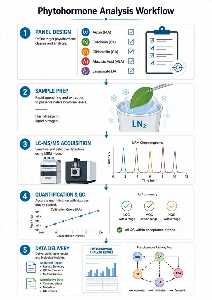 Plant Hormone Analysis Workflow