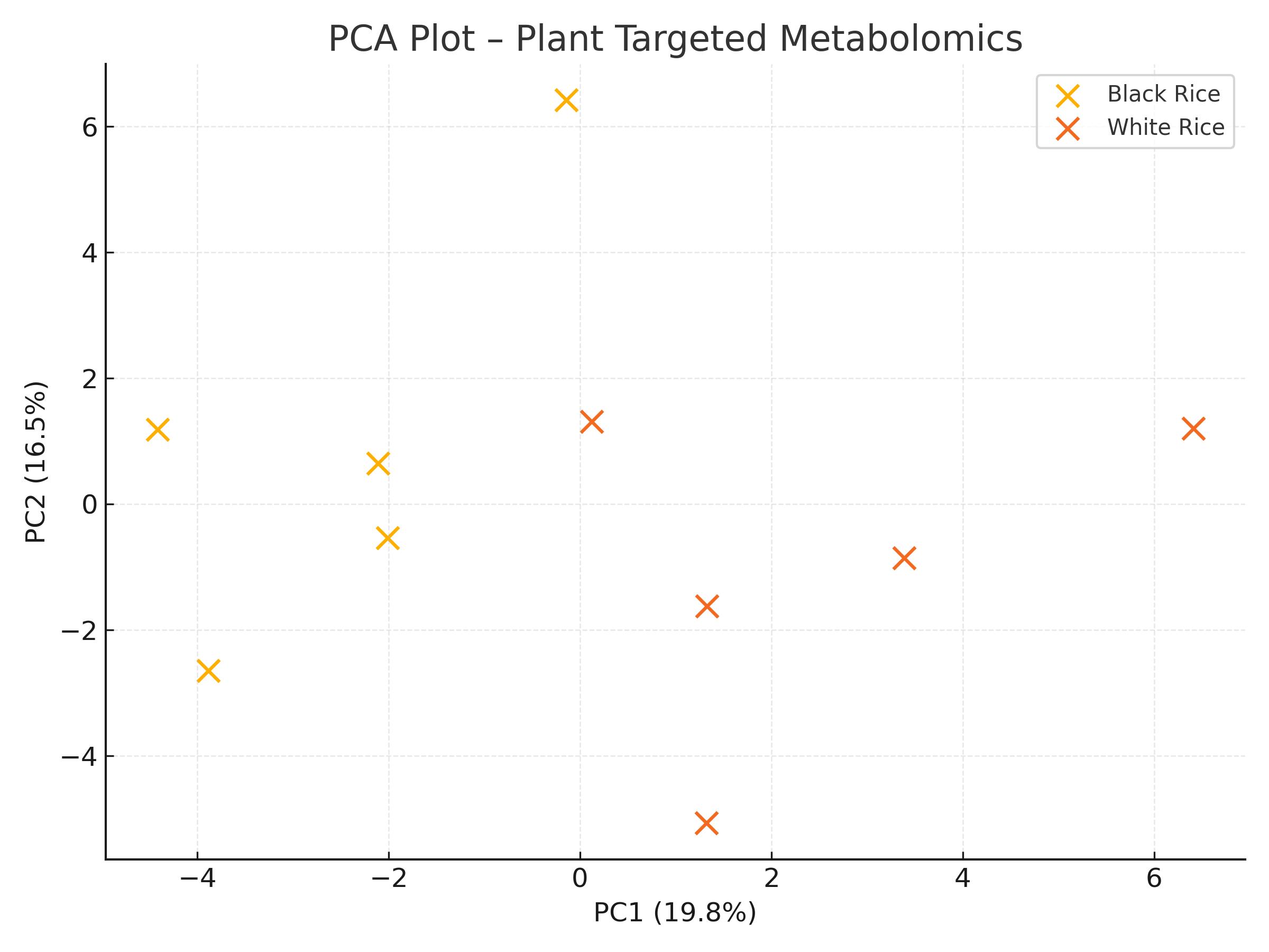 PCA plot showing separation of black and white rice samples based on metabolomic profiles.