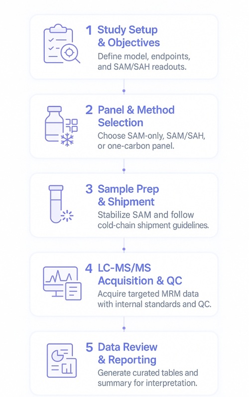 SAM/SAH Analysis Workflow