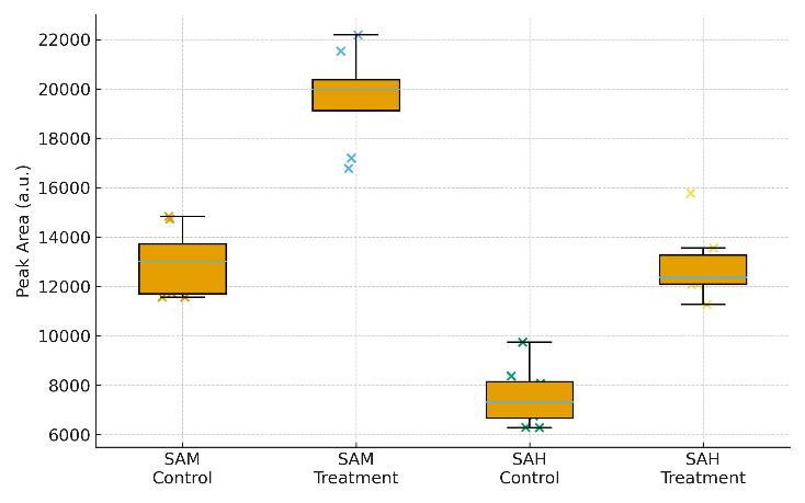 Bar plot with SD and scatter points comparing SAM and SAH peak areas.