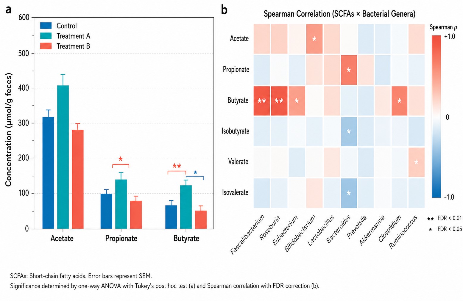 Short-Chain Fatty Acids Analysis — Quantification Results Bar Charts and Microbiome-SCFA Spearman Correlation Heatmap