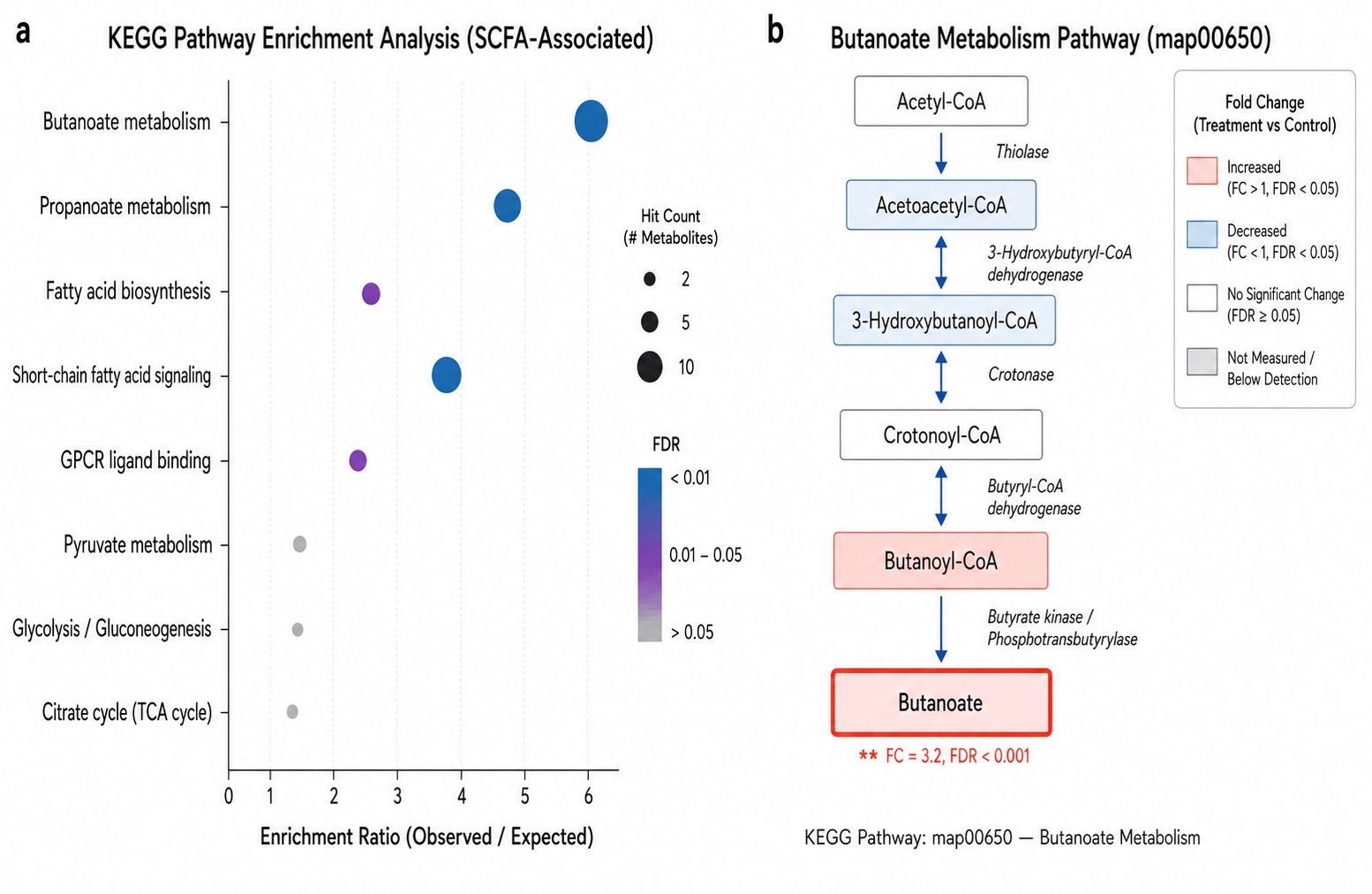 Short-Chain Fatty Acids Analysis — KEGG Pathway Enrichment Map of SCFA-Associated Metabolic Pathways