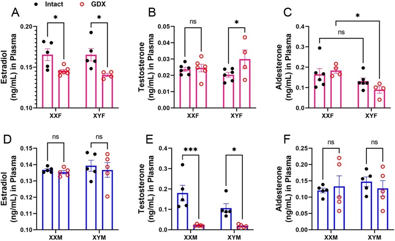 Dot plots (A–F) comparing intact vs gonadectomized mice: decreased estradiol in females, XX>XY aldosterone, and decreased testosterone in males; other measures unchanged.