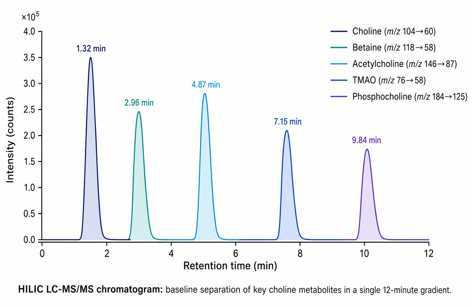 HILIC chromatogram showing baseline separation of choline, betaine, acetylcholine, TMAO, and phosphocholine