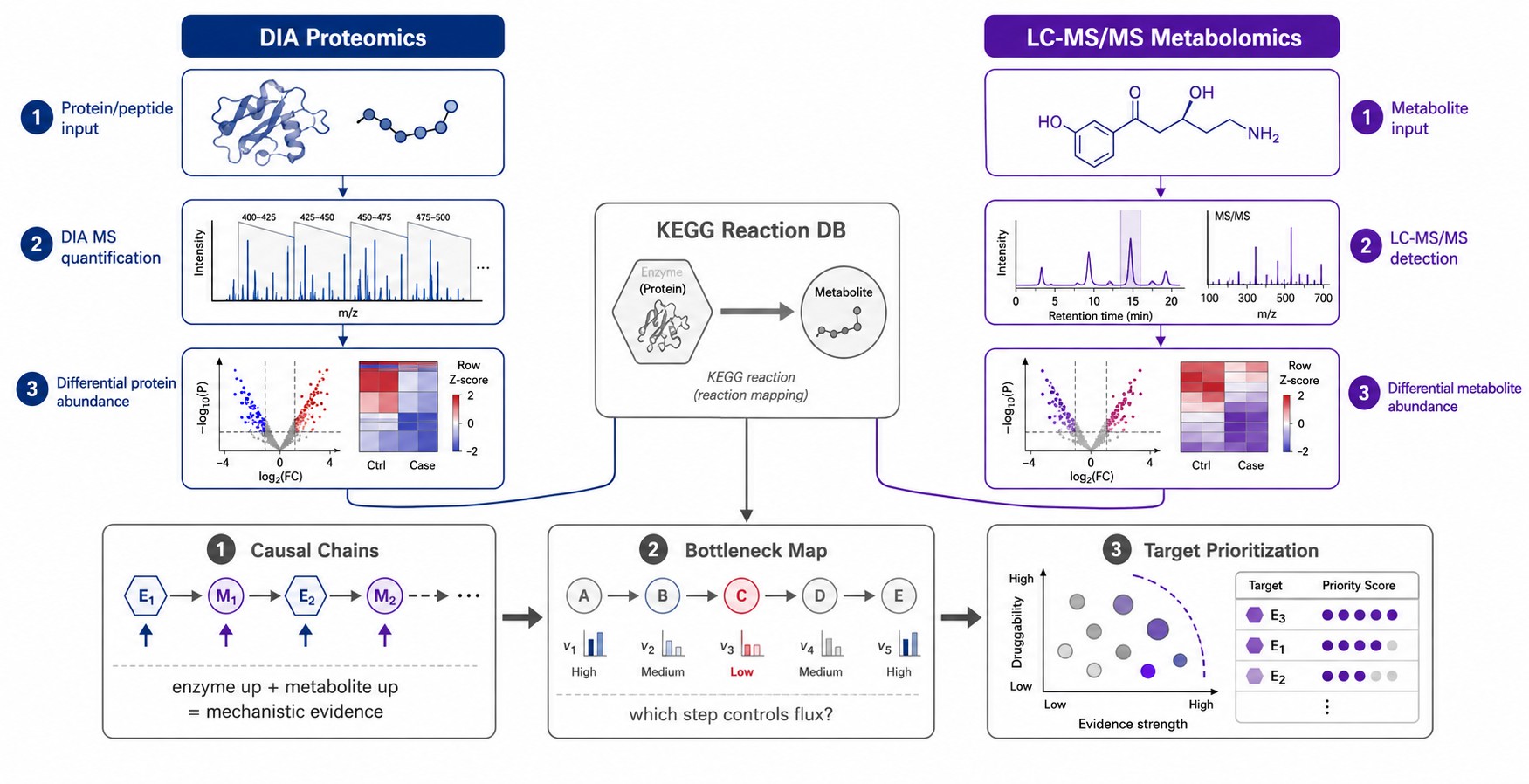 Enzyme-to-Metabolite causal chain concept diagram showing proteomics and metabolomics data converging through KEGG reaction database to identify rate-limiting enzymatic bottlenecks