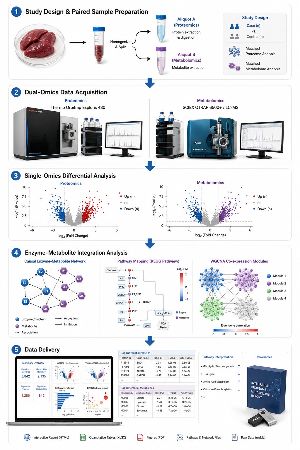 Integrated Proteomics and Metabolomics Analysis Workflow