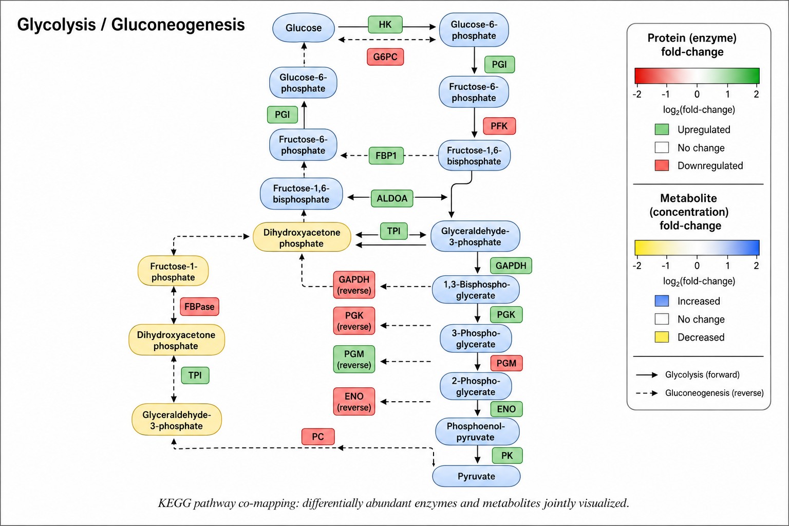 KEGG pathway co-mapping diagram showing enzymes and metabolites overlaid on glycolysis pathway