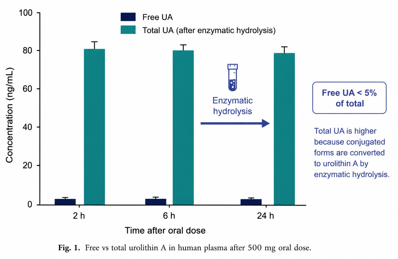 Bar chart comparing free, conjugated, and total urolithin A concentrations before and after enzymatic hydrolysis
