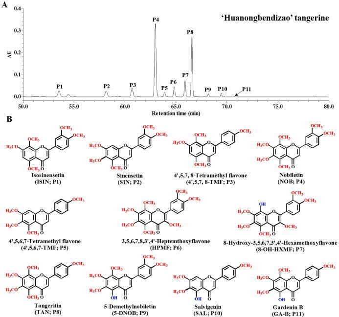 Polymethoxylated flavones (PMFs) in the flavedo of 'Huanongbendizao' tangerine
