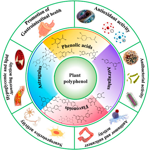 Application of Polyphenols From Biomass