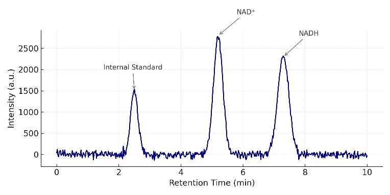 Extracted ion chromatogram showing internal standard, NAD⁺, and NADH peaks.