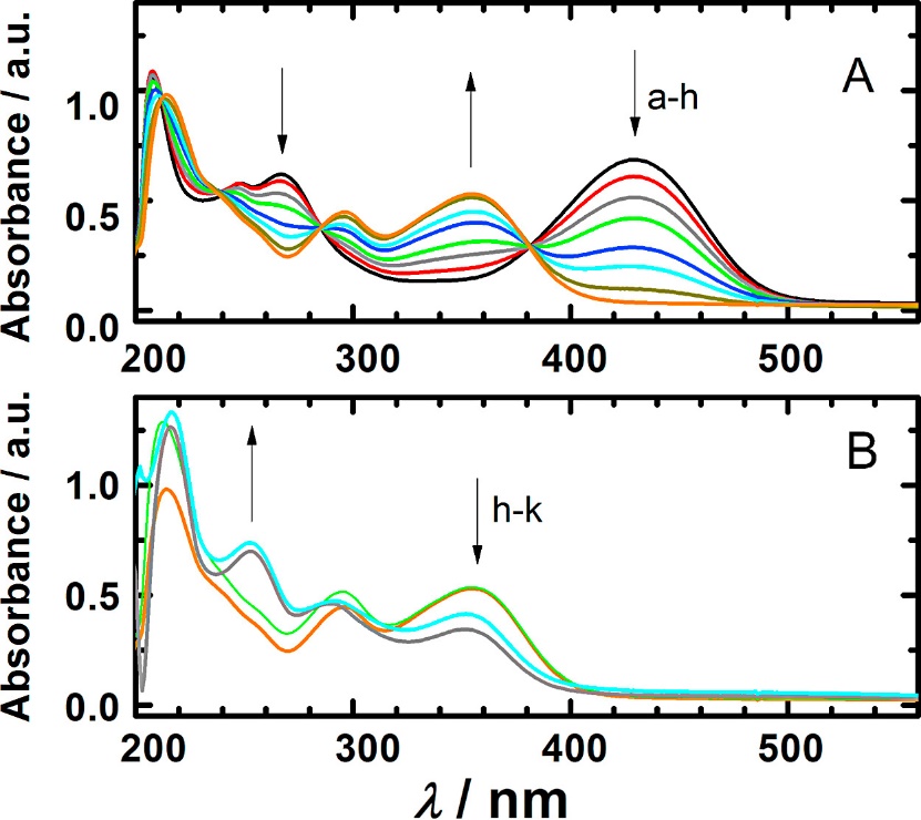 Absorption spectra of 3.6 × 10−5 mol l−1 rhamnazin in 0.1 mol l−1 KCl and 3.6 × 10−3 mol l−1 KOH (A) during exposure to atmospheric oxygen for (a) 0, (b) 360, (c) 560, (d) 760, (e) 1160, (f) 1560, (g) 2520, (h) 4520 s, and (B) (h) 4520 s, (i) 92 min, (j) 122 h and (k) 124 h.
