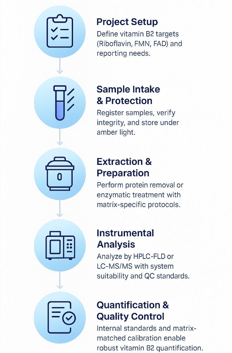Riboflavin Analysis Workflow
