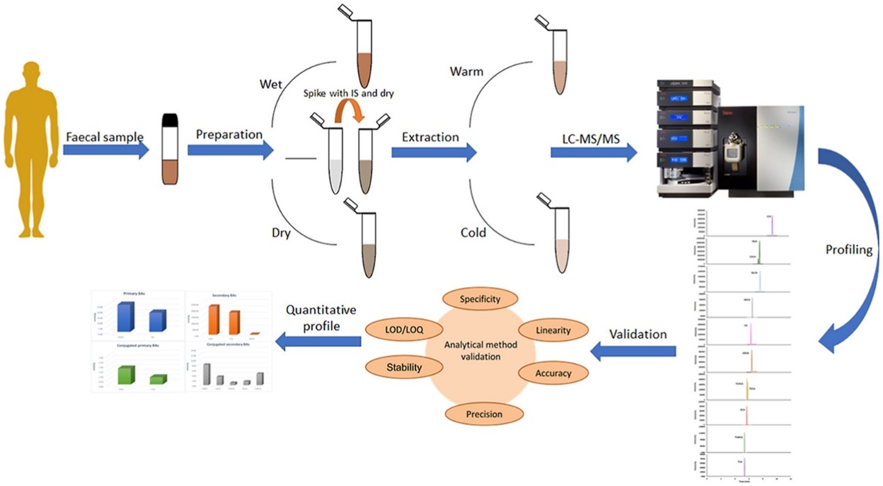 sample-preparation-techniques-bile-acid-analysis-1.jpg