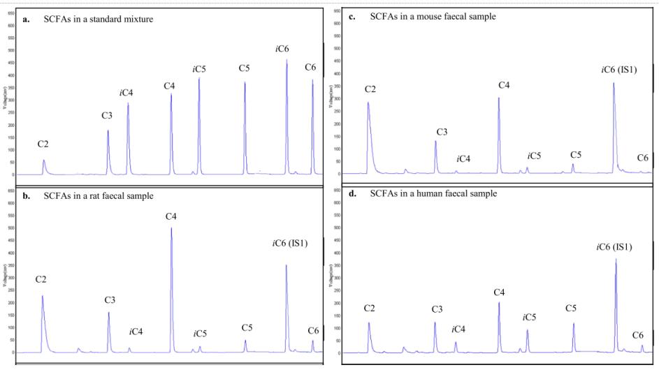 Chromatograms obtained from the analysis of short chain fatty acids (SCFAs) in a standard mixture