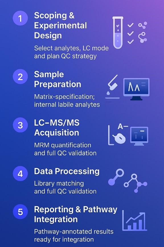 Amino Acid Metabolism Analysis Workflow