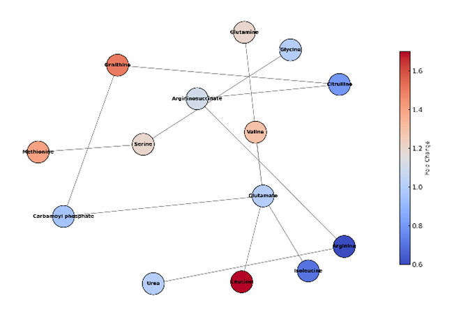 Metabolic pathway diagram showing amino acids as nodes with color-coded fold-change values in interconnected pathways.