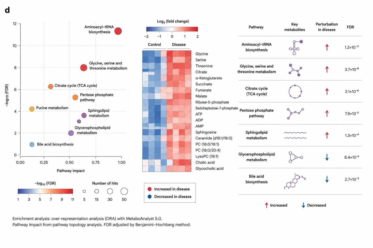 Targeted Metabolomics Quantitative Data — Group Comparison Box Plots and KEGG Pathway Map